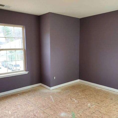 Sherwin Williams Exclusive Plum SW 6263 living room Pashmina Plum Paint Color, Dusty Purple Wall Color, Plum Colored Living Room Ideas, Plum Purple Room, Plummy Sherwin Williams, Gentle Grape Sherwin Williams, Dark Grey Purple Paint, Mysterious Mauve Sherwin Williams, Deep Purple Office