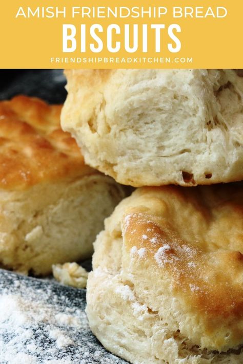 Recipes With Amish Bread Starter, Amish Friendship Bread With Starter, Amish Biscuits Recipe, What To Make With Amish Friendship Bread Starter, Friendship Starter Recipes, Amish Friendship Bread Discard Recipes, Amish Friendship Starter Recipes, Amish Biscuits, Amish Friendship Bread Variations