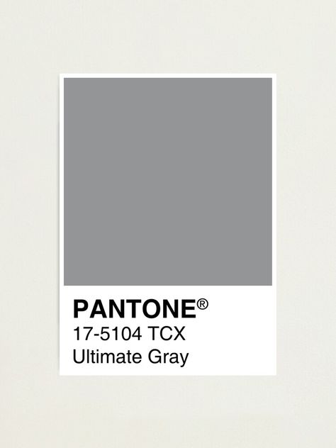 "Pantone Ultimate Gray Color of the year 2021" Photographic Print by sadaffk | Redbubble Pantone Ultimate Gray, Brick Painting, Color Pantone, Pantone Colour Palettes, Color Pallete, Pantone Colors, Brand Color Palette, Find Color, Design Minimal