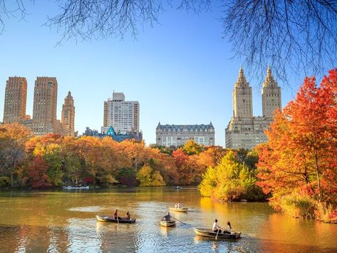 Fall In New York City, Voyage New York, Leaf Peeping, Honey Moon, Autumn In New York, New York Photos, New York Fall, European Destinations, Nova York