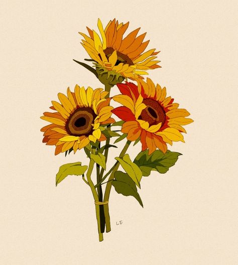 Sun Flower Reference, Sunflower Reference Drawing, Bouquet Of Sunflowers Drawing, Sunflower Botanical Illustration, Sunflower Drawing Wallpaper, Sunflower Bouquet Drawing, Yellow Drawing Ideas, Sunflower Gouache, Sunflower Drawing Aesthetic