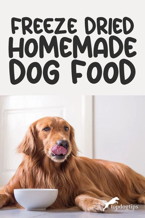 Freeze Dried Homemade Dog Food Dog Food Homemade, Freeze Dried Vegetables, Freeze Dried Dog Treats, Dehydrated Dog Food, Dog Food Recipe, Freeze Dried Dog Food, Diy Dog Food, Make Dog Food, Grain Free Dog Food