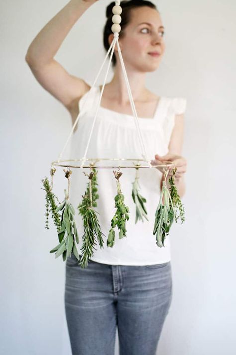 How to make a simple herb drying rack Diy Herb Drying Rack, Diy Herb Drying, Herb Drying Rack, Potato Tower, Herb Drying, Nature Witch, Hello Glow, Plant Magic, Quick And Easy Crafts