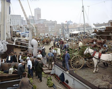 https://flic.kr/p/FVWi3u | Banana docks, New York, ca. 1890-1910 | The Old Slip piers along the East River, just below the end of Wall Street, used to be known as the Banana Docks for its frequent fruit shipments from around the world, including ships containing hundreds of bushels of bananas. Colorized Historical Photos, Search History, Colorized Photos, East River, Uss Enterprise, Nova York, Bw Photo, Churchill, Historical Photos