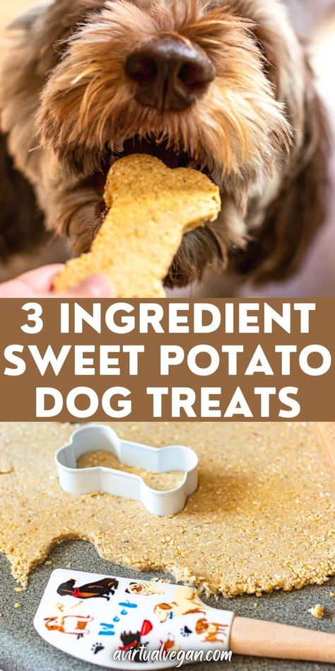 Wheat Free Dog Treats, 3 Ingredient Dog Treats, Healthy Dog Biscuits, Vegan Dog Treats, Dog Cookie Recipes, Sweet Potato Dog, Chicken Dog Treats, Sweet Potato Dog Treats, Potato Dog