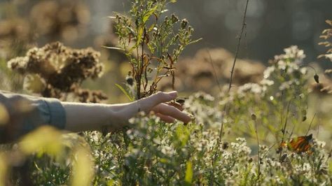 Kindred Spirit, Belle Rose, Fav Movies, Anne With An E, Anne Shirley, Enola Holmes, Kindred Spirits, Anne Of Green, Tea Parties