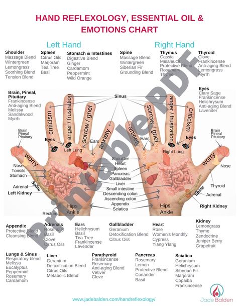 This Digital Drawings & Illustrations item by EnergyBalancingStore has 13 favorites from Etsy shoppers. Ships from United States. Listed on Nov 6, 2023 Hand Reflexology Chart, Hand Pressure Points, Ear Reflexology, Reflexology Points, Pressure Point Therapy, Foot Reflexology Massage, Emotion Chart, Hand Reflexology, Reflexology Chart