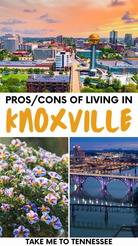 What is it like to live in Knoxville, Tennessee—the heart of Appalachia? Here are the pros and cons of living or retiring in Knoxville—like a local! Tennessee Living, Tennessee Travel, Knoxville Tennessee, Cozy Cafe, Johnson City, Tri Cities, East Tennessee, American Travel, Knoxville Tn