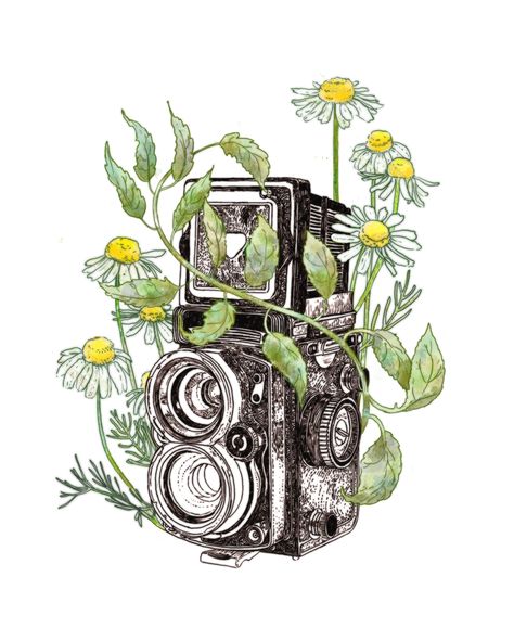 Camera Ink Drawing, Camera Illustration Art, Vintage Camera Drawing, Vintage Cameras Drawing, Vintage Camera Tattoos, Camera Tattoos, Camera Illustration, Camera Drawing, Fantasy Drawings