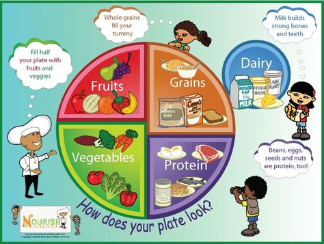 Food portions Five Food Groups, Healthy Plate, Nutrition Month, Groups Poster, Health Class, Colorful Poster, Food Groups, Homeschooling Ideas, Healthy Lifestyle Food