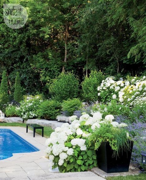 Gardens Backyard, Hampton Garden, Flowers And Greenery, Backyard Garden Design, Plants And Flowers, White Gardens, Garden Pool, Gorgeous Gardens, Landscaping With Rocks