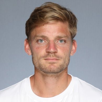 David Goffin David Goffin, Head Shots, Wimbledon