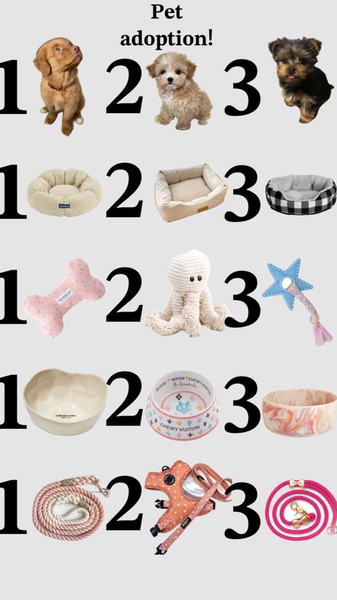 Rachel Core, Cute Dog Stuff, Brr Basket, Puppy Items, Train Wallpaper, New Puppy Checklist, Puppy Checklist, Making A Gift Basket, Bingo Funny