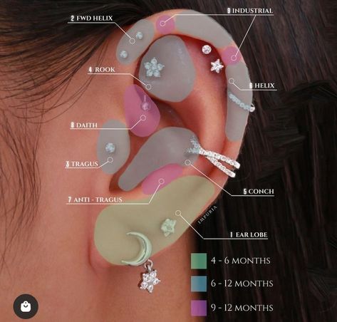 Tragus And Daith Piercing, Ear Piercings Daith, Piercing Anti Tragus, Anti Helix Piercing, Minimalist Ear Piercings, Different Ear Piercings, Anti Tragus Piercing, Unique Ear Piercings, Ear Peircings