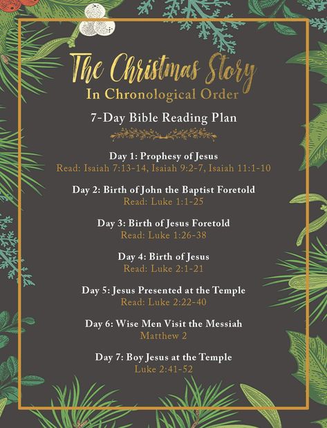 Bible Christmas Reading Plan, Christmas Story In The Bible, Christmas Story Bible Reading, Christmas Story Reading Plan, Sacrament Christmas Program, Christmas Bible Study For Teens, Christmas Bible Reading Plan, Christmas Bible Story, December Prompts