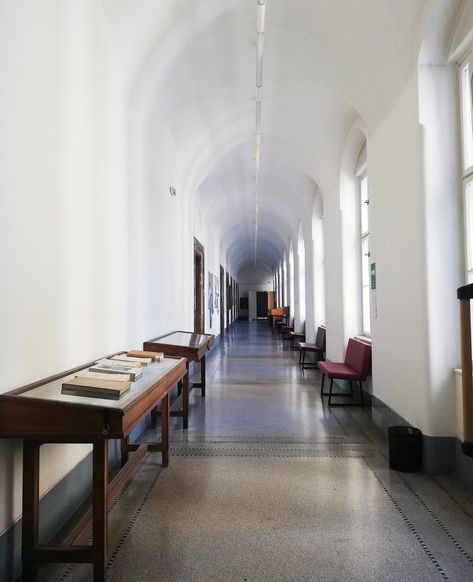 Charles university in Prague 🇨🇿 Charles University Prague, Academic Validation, University Life, Study Abroad, Prague, Conference Room, Conference Room Table, Brain, Editorial