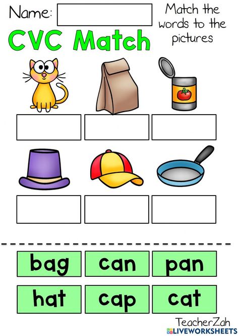 Cvc For Kindergarten Free Printable, Cvc For Kindergarten, Phonics Cvc Worksheet, Cvc Am Words Worksheets, Cvc Worksheets First Grade, An Words Worksheets, Cvc Activities Kindergarten, Writing Cvc Words Worksheets, Cvc Words Activities