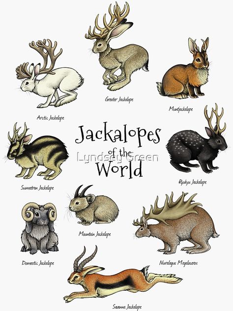 "Jackalopes of the World" Sticker by lyndseygreen | Redbubble Fantasy Species, American Folklore, Monster Creature, Creaturi Mitice, Arctic Tundra, Mythical Animal, Mythical Creature, Creature Drawings, Fantasy Creatures Art