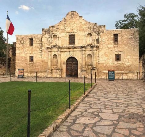 The Alamo San Antonio, Alamo Activities, Texas Landmarks, Alamo San Antonio, The Alamo, Texas Art, Saved Pins, Golden Eagle, Art Idea