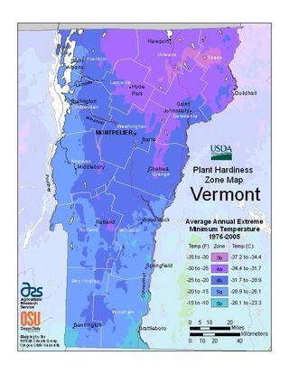 USDA's New Plant Hardiness Zone Confirms Vermont Is Getting Warmer...really? Planting Zones Map, Vegetable Planting Calendar, Vegetable Planting Guide, Plant Hardiness Zone Map, Planting Calendar, Black Thumb, Climate Zones, Plant Zones, Gardening Zones