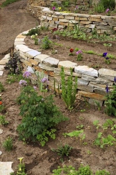 Backyard Retaining Wall Ideas, Backyard Retaining Wall, Gardens Backyard, Retaining Wall Ideas, Terraced Gardens, Backyard Retaining Walls, Pictures Landscape, Rock Retaining Wall, Stone Walls Garden