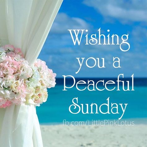 Happy Sunday! I hope you're having a wonderful and blessed day!! God bless you. #newday #peace #love #blessings #faith #happiness #Godisgood #lovelyday #awesome #beautifulday #winter #staywarm #sunday #wellspent #content #wellspentandcontent #sundayfunday #relax #peace #peacefulsunday Happy Sunday Pictures, Free Family Printables, Peaceful Sunday, Good Morning Winter, Good Morning Christmas, Sunday Quotes Funny, Sunday Pictures, Sunday Images, Enjoy Your Sunday