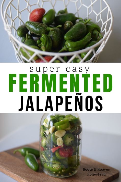 Fermented Jalapenos, Fermented Honey, Fermented Veggies, Jalapeno Recipes, Fermentation Recipes, Fermented Vegetables, Pickling Jalapenos, Stuffed Banana Peppers, Pickling Recipes