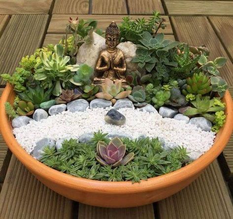 much! Mini Cactus Garden, Miniature Zen Garden, Fairy Garden Pots, Mini Zen Garden, Buddha Garden, Zen Garden Design, Succulent Garden Design, نباتات منزلية, Succulent Landscaping