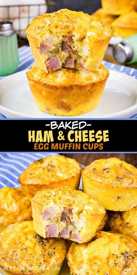 Ham And Cheese Egg Muffins, Eggs Healthy, Egg Muffin Cups, Breakfast Sides Dishes, Egg Muffins Recipe, Egg Muffins Breakfast, Breakfast Appetizers, Egg Muffin, Breakfast Eggs