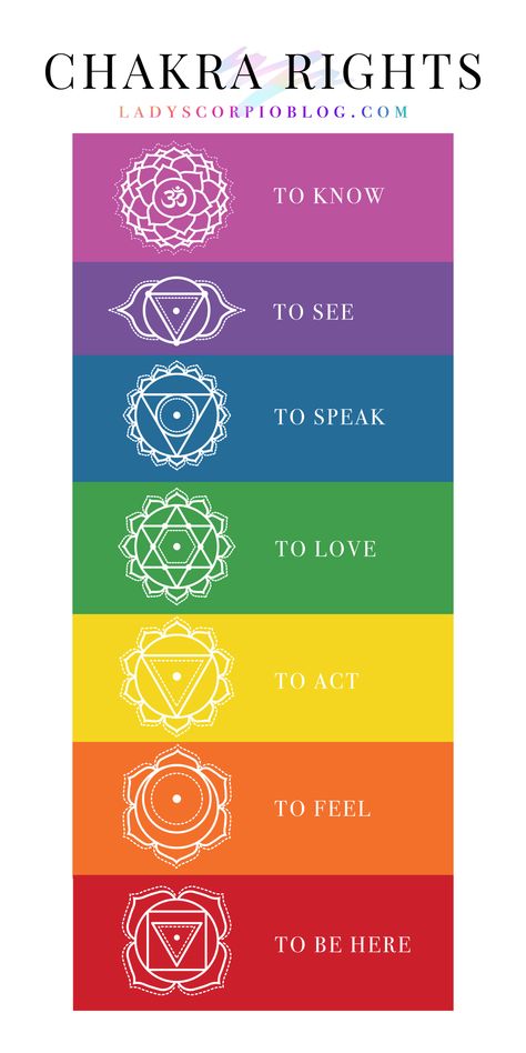 Qui Gong, Basic Human Rights, Chakra Tattoo, Manipura Chakra, Chakra Health, Arte Yoga, Learn Reiki, The Seven Chakras, Chakra Affirmations