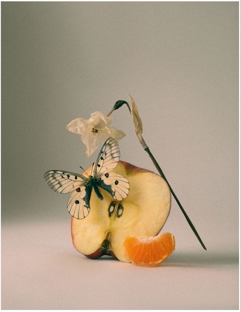 Butterfly Still Life Photography, Moldy Fruit Photography, Still Life Aesthetic Photography, Retro Still Life Photography, Still Life Art Photography, Fun Still Life Reference Photos, Still Lives Photography, Fruit Close Up, Coffee Still Life Photography