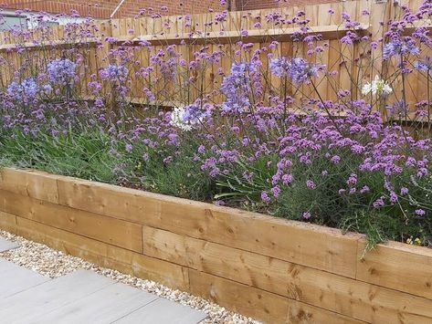 Raised Border Gardens Along Fence, Raised Timber Garden Beds, Sleeper Raised Beds Garden Edging, Wooden Flower Bed Borders, Flower Bed Raised, Raised Flower Bed Against House, Raised Beds Patio, Raised Bed Along Fence Line, Raised Bed Patio Border