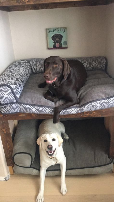 Dog Bed In Closet Ideas, Dog Area In Bedroom Ideas, Dogs In Bedroom, Double Decker Dog Bed, Dog Bed Under Desk, Dog Bed In Office, Rv Dog Bed, Dog Bed Room, Dog Bunk Beds Diy