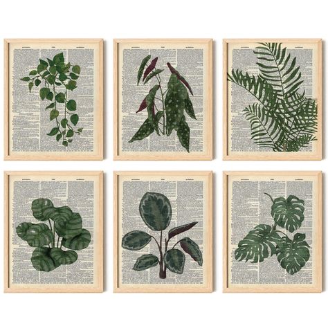 PRICES MAY VARY. Lush Botanical Plant Wall Decor Collection: Immerse your living space in the serene beauty of nature with our Plant Wall Decor Set. This unique collection marries the vibrant energy of green plant wall decor with the intellectual charm of dictionary wall art, creating a refreshing and enlightening ambiance in any room. Set Includes: Our carefully curated set features 6 pieces of 8x10 inch, including Green Plant Art, Botanical Wall Art, and exclusive Book Art. Each piece is a cel Plant Wall Art Painting, Boho Wall Posters, Book Wall Decor Ideas, Plant Picture Wall Decor, Plant Apartment Aesthetic, Book Pages Wall Decor, Green Home Decor Living Room, Dark Green Wall Decor, Pages Wall Decor