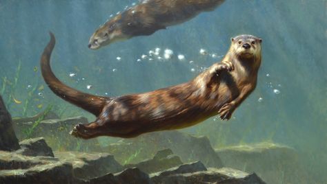 Otter Photography, Sea Otter Art, Otter Drawing, Otter Tattoo, Otter Art, Otters Cute, River Otter, 강아지 그림, Sea Otter