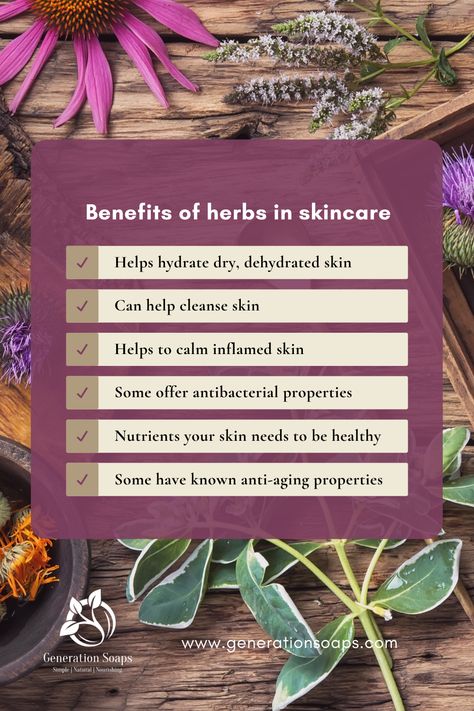 There are literally so many good reasons to use plants and herbs in your everyday skincare routine. #botanicalskincare #plantbaseoils #healthyskin #naturalingredients #herbalskincare Everyday Skincare Routine, Herbal Skincare, Everyday Skin Care Routine, Herbal Skin Care, Everyday Skincare, Botanical Skincare, Handcrafted Soaps, Dehydrated Skin, Skincare Routine