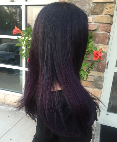 My hair: midnight purple ombré! Dark Purple Almost Black Hair, Dark Purple Ends Hair, Purple Over Brown Hair No Bleach, Subtle Dark Purple Hair, Purple Highlights Black Hair Straight, Dark Purple Tinted Hair, Black With Purple Tint Hair, Dark Purple Tips Hair, Straight Hair Purple Highlights