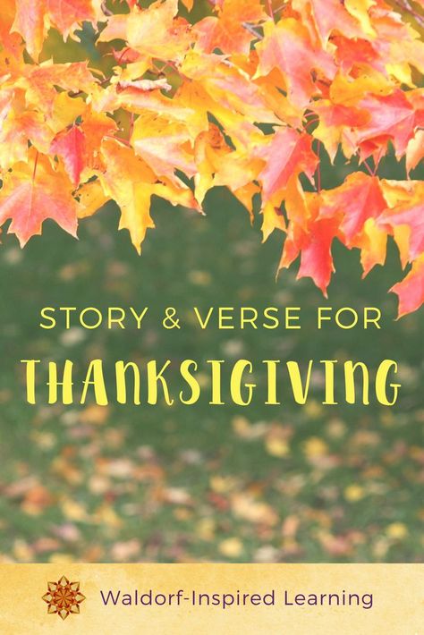 A wonderful Thanksgiving story and verse. In the midst of all of our preparations, we can celebrate the blessings of our family & friends. Waldorf Autumn, Waldorf Festivals, Thanksgiving Decorations For Kids, Waldorf Learning, Thanksgiving Story, Thanksgiving History, Thanksgiving Stories, Waldorf Homeschool, Waldorf Crafts