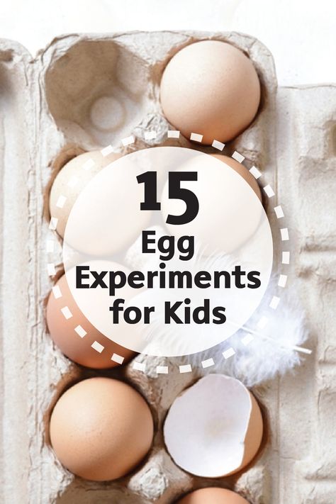 Crafts meet science with these 15 Egg Experiments for Kids. You’ll love checking out these fun and creative projects with your family. Plus, they’re the perfect easy and fun activity for fall. Egg Science Preschool, Egg Race Game For Kids, Egg Experiments For Preschool, Egg Experiments For Kids Dental Health, Eggs Preschool Activities, Preschool Egg Activities, Egg Activities Preschool, Egg Experiments For Kids, Egg Activities For Kids