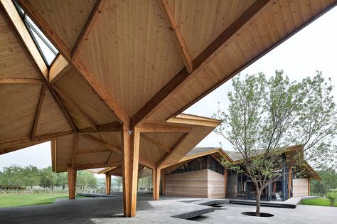 Forest building by TAO and Hua Li Forest Building, Wood Roof Structure, Open Space Architecture, Museum Plan, Open Architecture, Cooper Hewitt, Wood Architecture, Geometric Lighting, Roof Architecture