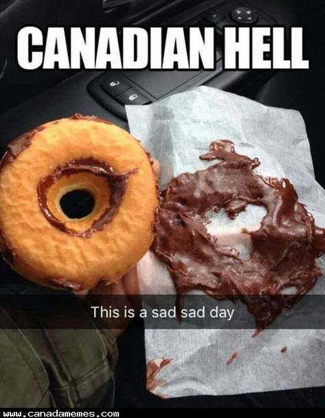 Canada Day Images, Canada Jokes, Canadian Memes, Canada Memes, Canadian Humor, Meanwhile In Canada, Canadian Things, Hilarious Dogs, Loud Laugh