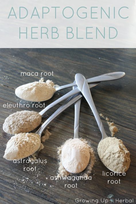 Boost Your Child's Body With This Adaptogenic Herb Blend | GrowingUpHerbal.com - help your child deal with sickness and stress with this DIY adaptogenic herb blend. It tastes great! Adaptogenic Herbs, Herbal Recipes, Herbal Healing, Cold Home Remedies, Natural Cough Remedies, Cough Remedies, Natural Health Remedies, Healing Herbs, Natural Home Remedies