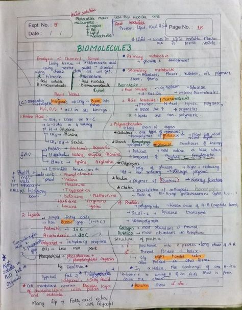 Notes of Biomolecules chapter of Class XI Biomolecules Notes, Neet Notes, Cover Page For Project, Biology Diagrams, Creative School Project Ideas, Physics Notes, Physical Chemistry, Study Flashcards, Chemistry Notes