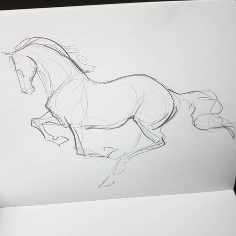 Horse Drawings Pencil, Horse Sketches, Horse Drawing Tutorial, Skitse Bog, Horse Art Drawing, Reference Ideas, Fish Drawing, Rasy Koni, Horse Sketch