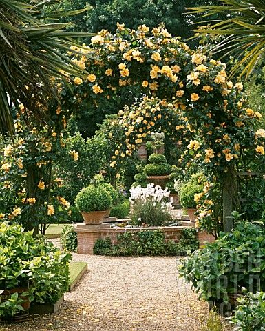 ARCHES_OF_ROSA_MAIGOLD_AT_EAST_RUSTON Romantic Backyard, Rose Garden Design, Garden Arches, Backyard Pergola, Formal Gardens, Romantic Garden, Climbing Roses, Plants And Flowers, Garden Care