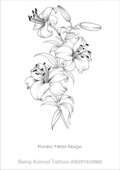 Lilly Tattoo Design, Lilly Flower Tattoo, Lily Flower Tattoo, Tiger Lily Tattoos, Water Lily Tattoos, Lillies Tattoo, Lily Tattoo Design, Lily Flower Tattoos, Hibiscus Tattoo