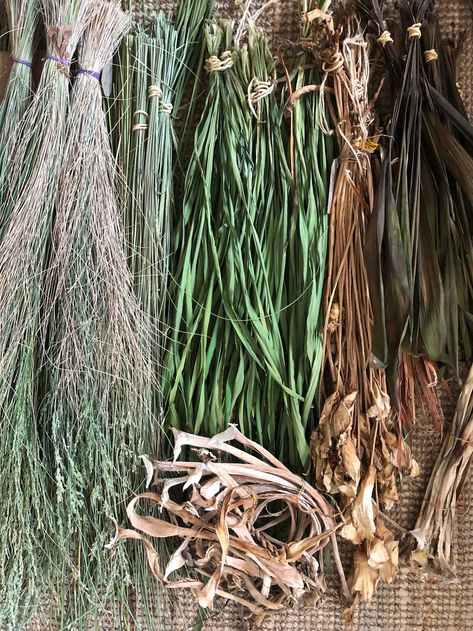 How to Prepare Plant Fibre for Weaving Learning About Plants, Flax Weaving, Making Baskets, Coconut Bowls, Basket Weaving Diy, Basket Weaving Patterns, Life Worth Living, Basket Weaver, About Plants