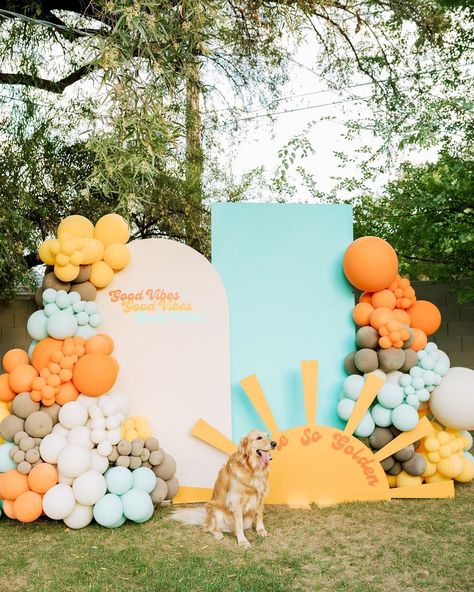 Sun Party Backdrop, Sunshine Balloons, Sonshine First Birthday Boy, Here Comes The Sun Backdrop, Sunshine 1st Birthday Boy, Sunshine Theme, Sun Decorations, Five Is A Vibe Birthday Party Boy, Sunshine Theme Birthday Party