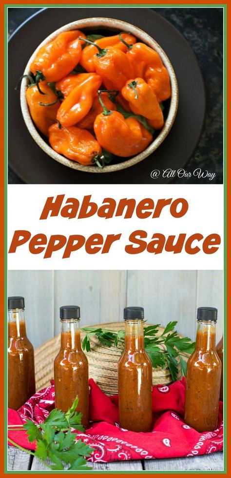 Homemade habanero sauce is so easy to make. It has a fire with a touch of sweetness. It makes a great gift and would be welcome by all of your hot sauce lovers. #hot_sauce, #habanero_sauce, #pepper_sauce, #homemade_sauce_recipe,#hot_sauce_recipe #habanero_peach_sauce,#allourway Garlic Habanero Hot Sauce Recipe, Canned Habanero Hot Sauce, Shelf Stable Hot Sauce Recipe, Habanero Recipes, Peach Sauce, Habanero Pepper, Homemade Hot Sauce, Habanero Sauce, Habanero Hot Sauce