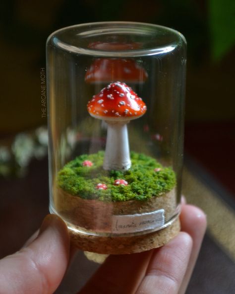 It's officially Autumn!! 🍂 Miniature sculpture jars will be returning for my fall collection! 🍄🎃 I always have so much fun making these pieces! I really love to sculpt all the little mushrooms, pumpkins, and tiny creatures and create tiny worlds for them in the curio jars :) I'd love to recreate some of these designs and do some new ones too!! Let me know what you guys would like to see more of in this collection!!! 🦇 • #mushroomart #fungiart #mushroomlove #amanita #mushroomcore #goblin... Mason Jar Mushroom, Whimsy Jars, Mushroom In A Jar, Mushroom Miniature, Mushroom Sculpture, Cloche Decor, Fungi Art, Clay Mushroom, Clay Jar